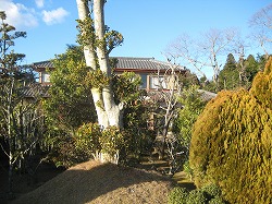 20年前と全く変わらない風景が・・・