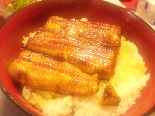 うなぎ・・・。おいしそうﾟ+.(･∀･)ﾟ+.ﾟ