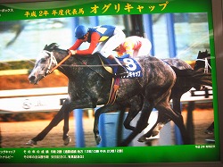 平成2年代表馬オグリキャップ！