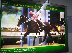 平成３年代表馬トウカイテイオー