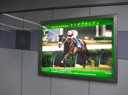 平成6年代表馬ナリタブライアン