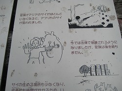 これはサイを守りたくなりますね。。