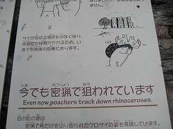 サイが風呂敷袋を持って逃げている所が笑えます（＾＾。