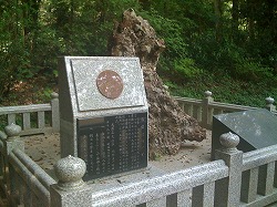 さざれ石