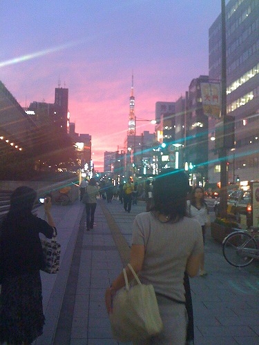 大門から眺めた東京タワーです。夕日がきれいですよねｷﾗ*｡･+(*ﾟ∀ﾟ*)+･｡*ｷﾗ