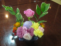 img_3862.jpg